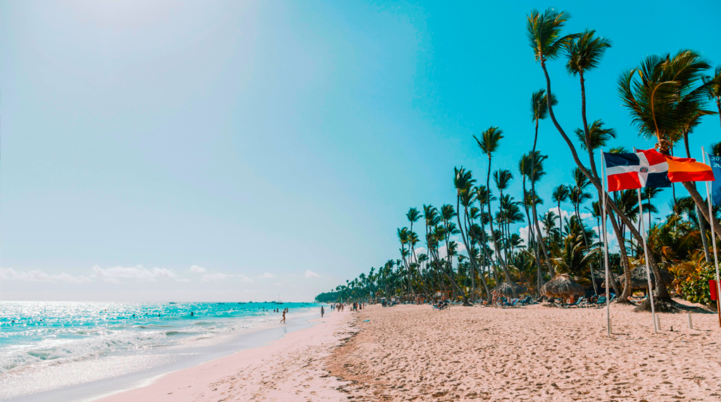 Playa y Mar de Punta Cana con una linea de palmeras de coco